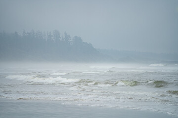 Playa de Tofino pelicula Crepusculo