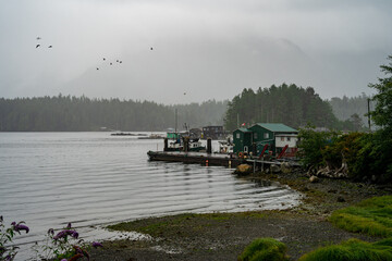 Fototapeta premium Amanecer con bruma en Tofino Canada
