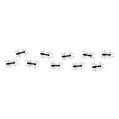 Worker Ants Trail Line Flat Style Design. Vector Illustration