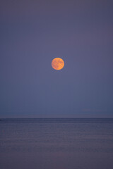 Luna al atardecer sobre Victoria Canada