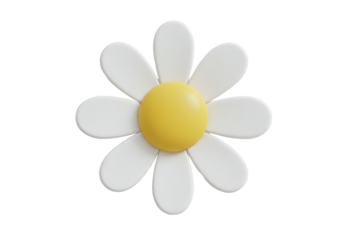Isolated simple daisy flower with smooth curved petals in cartoon style, flower head