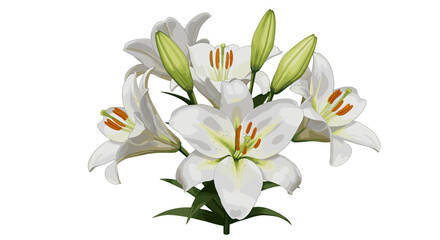 Naklejka premium Beautiful white lily flowers bouquet isolated on transparent background for elegant floral design and decoration