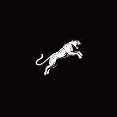 Fototapeta premium A white leopard leaps gracefully with its mouth open, showcasing strength and agility. The bold contrast against the black background emphasizes its powerful form.