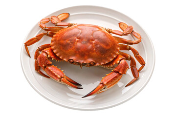 Fresh cooked crab with orange shell and claws on white plate, isolated on a transparent background