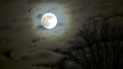 Changes of cloud cover on the background of full moon. Time lapse of an atmospheric, mystical full moon on a cold autumn night, 4K Video 