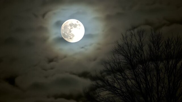 Changes of cloud cover on the background of full moon. Time lapse of an atmospheric, mystical full moon on a cold autumn night, 4K Video 