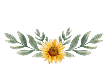 sunflower on white background