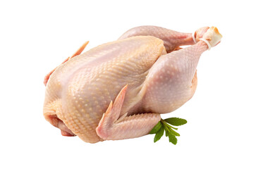 Raw whole chicken with natural coloring and small herb garnish beside it, isolated on a transparent background