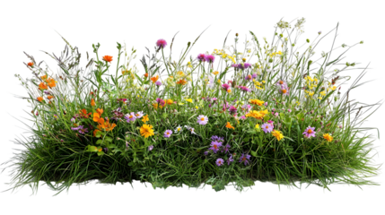 a bush made with grass and wildflowers isolated on a transparent background
