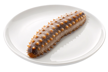 Whole sea cucumber with brown bumpy skin texture displayed, isolated on a transparent background
