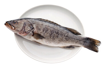 Obraz premium Fresh whole fish with silver scales and dark lateral line on white plate, isolated on a transparent background