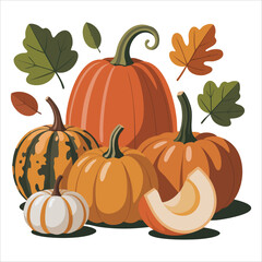 colorful autumn pumpkin collection with various shapes vector art isolated on white background