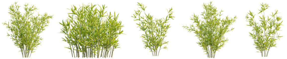 Set of Japanese style Tsuboi Bamboo with isolated on transparent background. PNG file, 3D rendering, Clip art and cut out