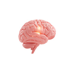 Human Brain Anatomy: 3D Model of Neural Activity & Cognition