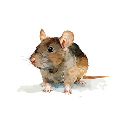 Watercolor Style House Mouse Portrait Curious Gaze