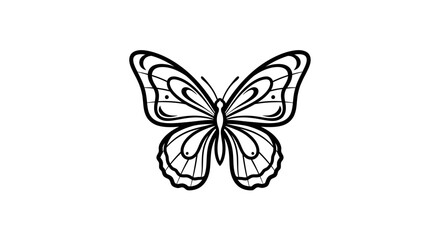 Black and White Butterfly Outline with Detailed Wing Design