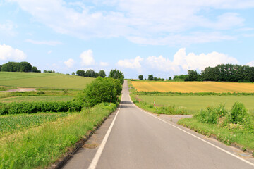 Countryside Road Leading Through Farmlands Under a Bright Summer Sky, Biei, Hokkaido, Japan