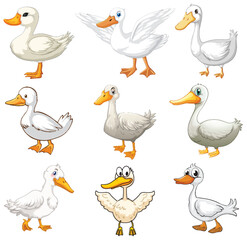 Cartoon White Ducks in Various Poses and Expressions