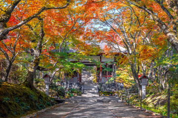 Scenic view of Jojakkoji Temple with beautiful foliage in autumn in Kyoto, Japan