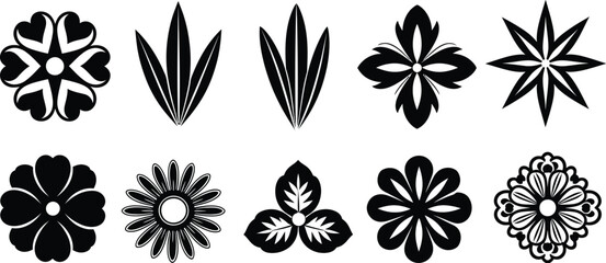 Vector flower designs floral elements botanical illustrations clip art set