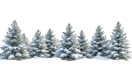 winter snow carpet isolated on a transparent background