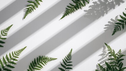 A frame of fern fronds with diagonal sunlight shadows on a bright white surface.