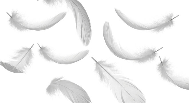 Pure White Feathers Floating, Light and Delicate on Transparent Background