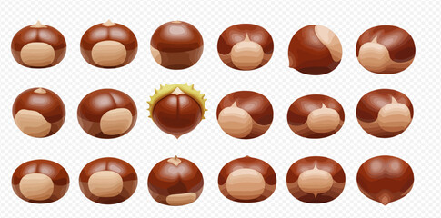 Multiple views of a single chestnut, showcasing its various angles and textures.