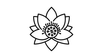 Black and White Lotus Flower Outline Illustration