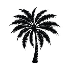 Palm tree vector silhouette on white background