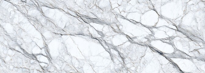White marble with gray veining