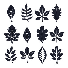 Isolated nature foliage features several assorted leaves in simple flat dark shapes