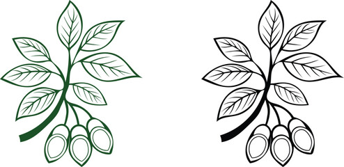 Botanical Branch with Leaves and Pods