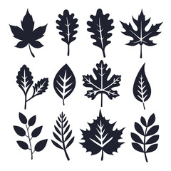 Isolated leaves silhouette showcases diverse shapes from maple, oak, elm, and other tree variants