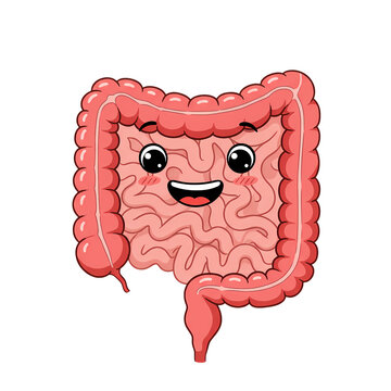 Happy Gut: Cartoon Illustration of Digestive System