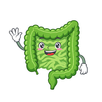 Happy Gut: A Cartoon Illustration of the Large Intestine Promoting Digestive Health