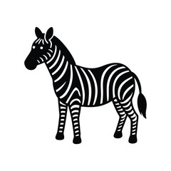 zebra isolated on white