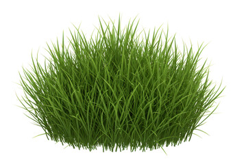 Isolated clump of lush green grass with vibrant color for compositing, landscaping art