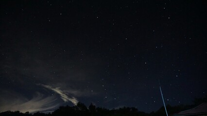 Beautiful night view with countless stars shining brightly over the dark forest