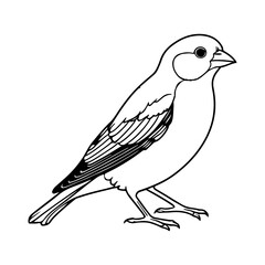 Fototapeta premium Black and white bird painting, drawn in woodcut style. Suitable for logos, posters and packaging with nature, animal and adventure themes.