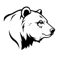 vector illustration of a bear