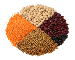 A colorful assortment of dried legumes, including red lentils, chickpeas, kidney beans, black beans, and brown lentils, arranged in a segmented circle isolated on a transparent background, 