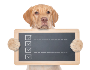 Yellow Labrador Retriever holding a small chalkboard checklist, looking up with expressive eyes.