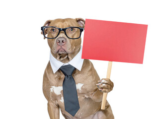 Brown pit bull wearing glasses, a white shirt collar and black tie, holding a red sign with one paw.