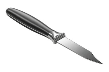 Fototapeta premium Straight vegetable peeler with centered blade, satin metal finish, and smooth matte handle, isolated on transparent background. 
