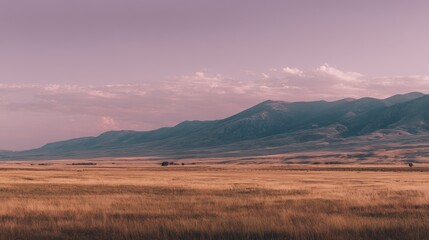 Obraz premium Endless Grassy Field Under Pale Lavender Sky and Mountains.