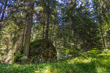 Hiking near Pianozes lake - Cortina d'Ampezzo - Italy