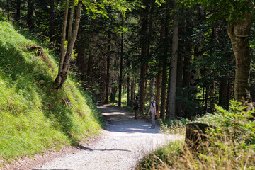 Hiking near Pianozes lake - Cortina d'Ampezzo - Italy