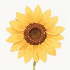 Fototapeta premium Bright Yellow Sunflower Blossom Detailed Illustration