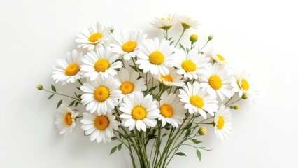 Obraz premium A bright bouquet of daisies with yellow centers and white petals on a white background in a studio shot